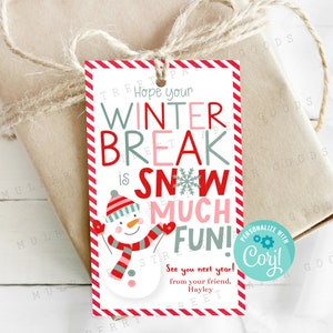 Hope Your Winter Break is Snow Much Fun Printable Gift Tag from Teacher or Student, Kids Student Preschool Holiday Christmas Party Favor Tag