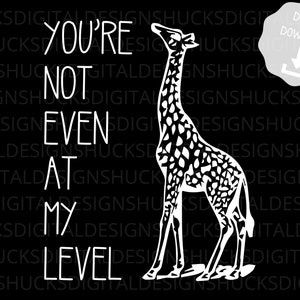 You're Not Even On My Level - Sublimation Acrylic Blank with SVG
