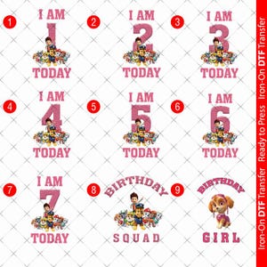 May include: A sheet of iron-on DTF transfers with designs including the text "I AM TODAY" and numbers 1 to 7. Also includes "BIRTHDAY SQUAD" and "BIRTHDAY GIRL" designs. The transfers feature cartoon characters.