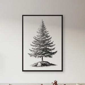 Minimalist Pine Tree Wall Art – Monochrome Botanical Print for Modern Rustic Kitchens, Nordic Interiors and Nature-Inspired Calm Spaces