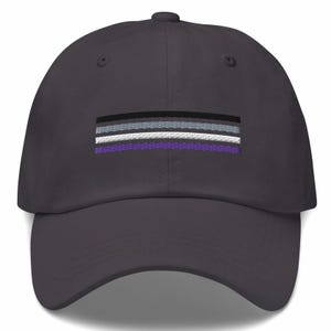 May include: A dark gray baseball cap with an embroidered asexual pride flag in black, gray, white, and purple.