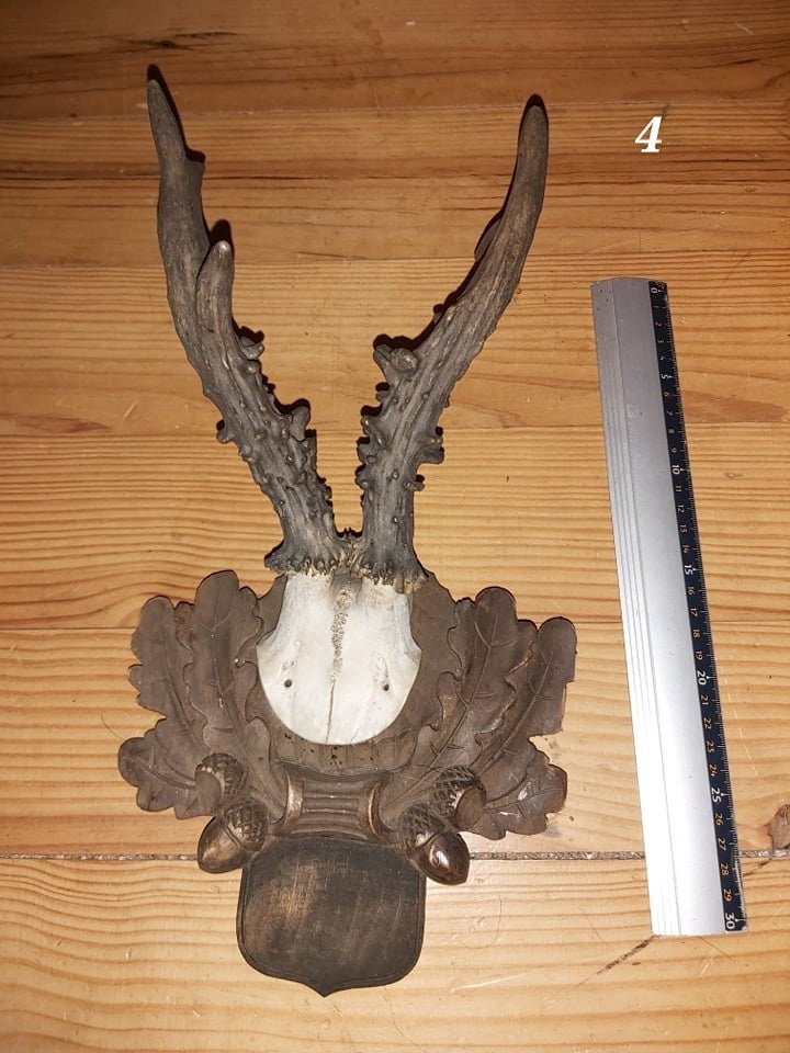 Scalp de Chevreuil - Antique 4