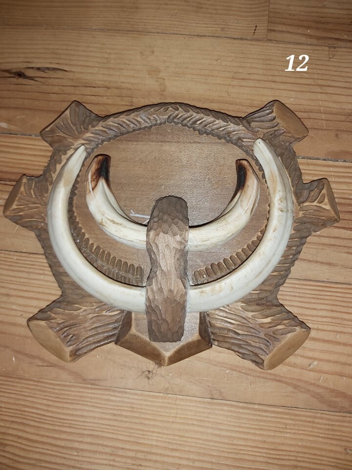 Trophée de Sanglier - 12