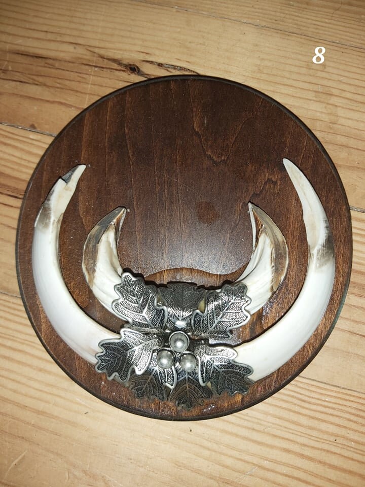 Trophée de Sanglier - 8