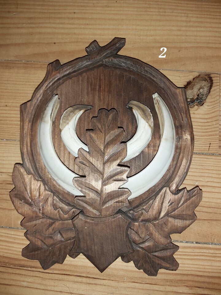 Trophée de Sanglier - 2