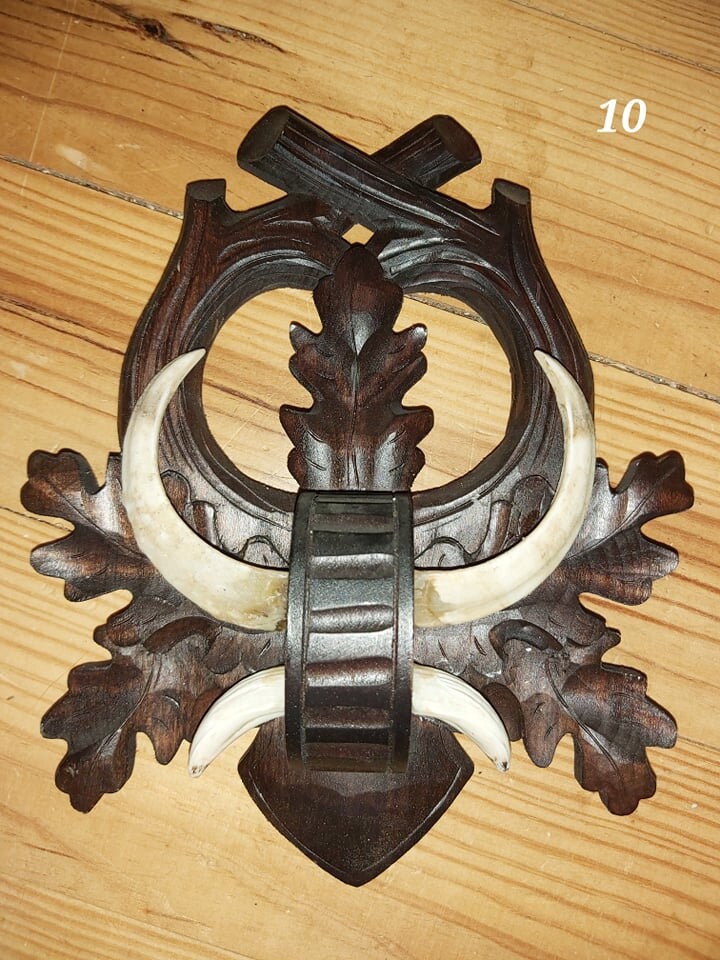 Trophée de Sanglier - 10
