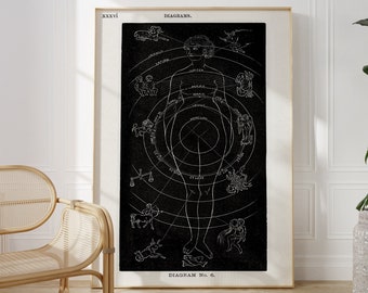 Star Sign Diagram Art Print, horoscope art, biology diagram, art print, vintage art print, horoscope art, astrology art, home decor, art