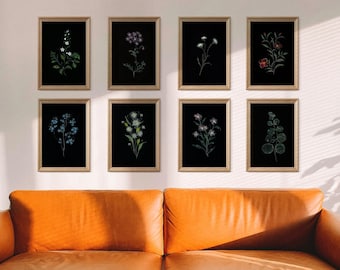 Schwarzes botanisches Kunstset, dunkle Blumenmalerei Set von 8, schwarzer Hintergrund, dunkle Wildblumenkunst, Original Blumenmalerei Galerie Wandkunst