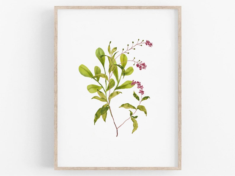 Botany Wall Art Printable, Instant Download, Multiple Sizes, Watercolor