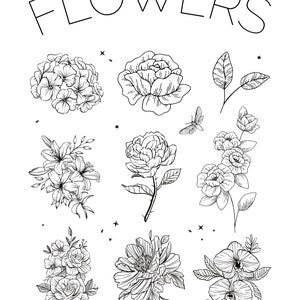 Fun Colouring Pages For Adults and Kids
