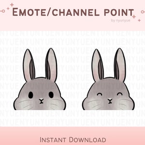 Może przedstawiać: Dwa szare emotikony królików z różnymi wyrażeniami twarzy. Pierwszy królik ma neutralny wyraz twarzy z zamkniętymi oczami. Drugi królik ma szczęśliwy wyraz twarzy z zamkniętymi oczami i lekkim uśmiechem.