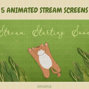 May include: Animated stream screen featuring a cartoon cat lying on its back on a green grassy field with the text "Stream Starting Soon" in white cursive font.