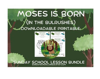 Moses Is Born | (Moses In The Bulrushes) Sunday School Lesson | Children&#39;s Church | Bible Study Worksheets | Printable Activity Bundle