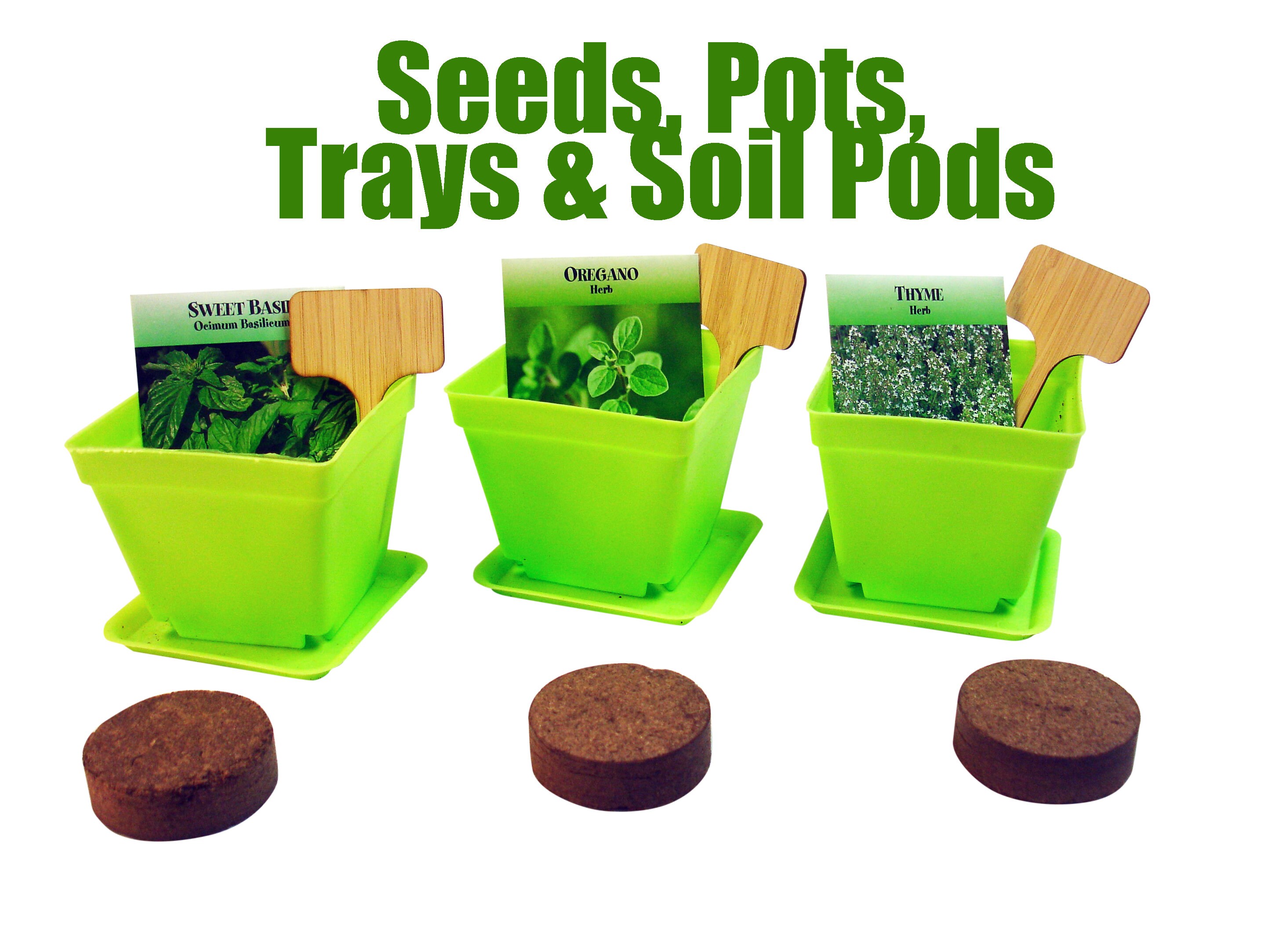 Herb Window Garden Gift Set- Herb Garden Growing Kit Includes Seeds ...