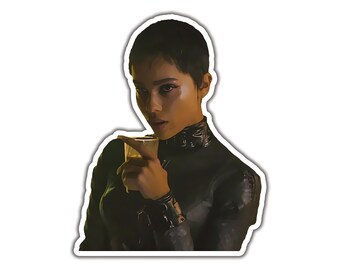 3” Black Cat Hair Hiss Kitty Catwoman Comic Retro Goth Horror Vinyl Cool Sticker 3” Black Cat Hair Hiss Kitty Catwoman Comic Retro Goth Horror Vinyl Cool Sticker