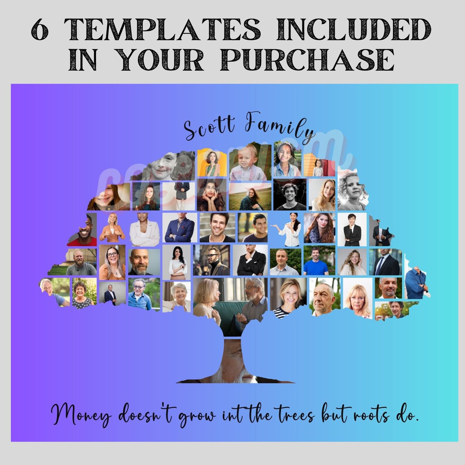 Family Tree Builder Online Free