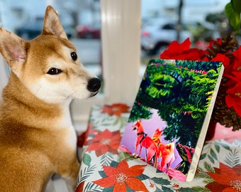 Shiba Inu Central Park Manhattan, Journal, Sketchbook, Shiba Inu Notebook, lovely dogs, Adorable Notebook, Notebook for dog lover, Cute