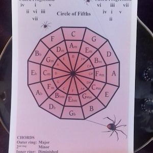 Circle of Fifths &#39;SPIDERS&#39;
