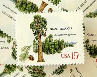 Affrancatura d'epoca // 5x Sequoia gigante 15c (1978) // Francobollo albero verde e bianco // Foresta, natura, all'aperto // Affrancatura matrimonio 1 oz inutilizzata