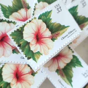 May include: A collection of five vintage US postage stamps featuring a Chinese Hibiscus flower. Each stamp is white with a red and white flower and green leaves. The stamps are marked "USA 33" and "Chinese Hibiscus".