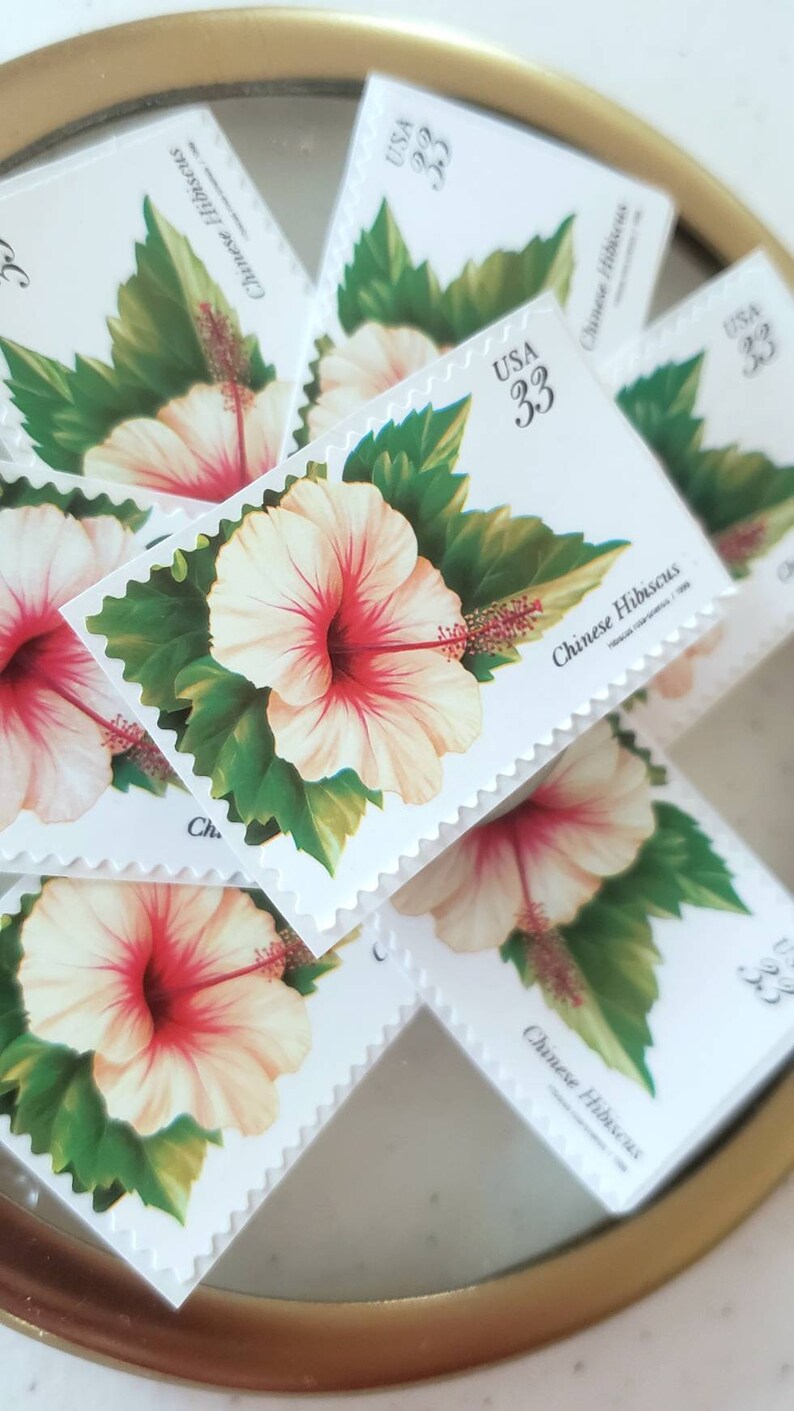 May include: A collection of five vintage US postage stamps featuring a Chinese Hibiscus flower. Each stamp is white with a red and white flower and green leaves. The stamps are marked "USA 33" and "Chinese Hibiscus".