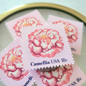 Puede incluir: Cuatro sellos rosados con una ilustración de acuarela de una flor de camelia. Los sellos son del Servicio Postal de los Estados Unidos y tienen el texto "Camellia USA 18c" impreso en ellos.