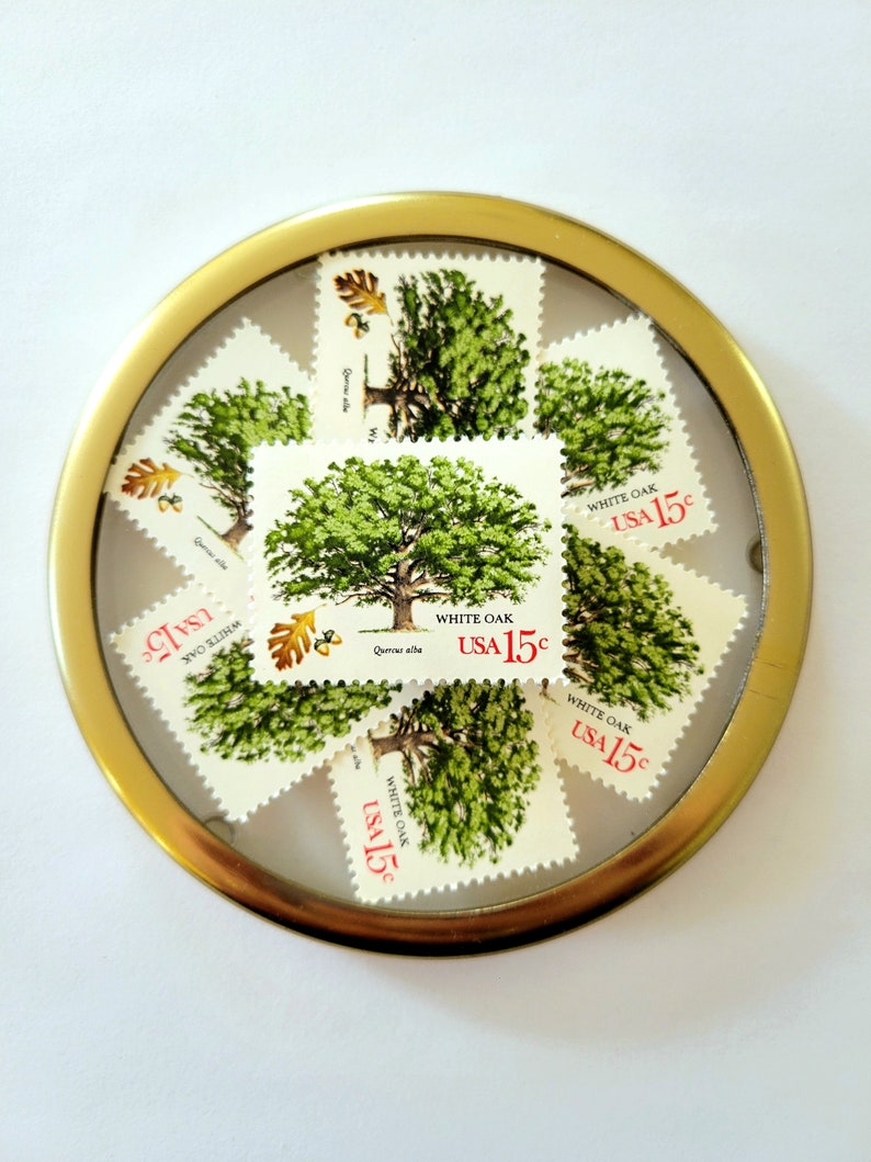 Pu&ograve; includere: Una collezione di francobolli vintage "White Oak USA 15&cent;" disposti in una cornice circolare dorata. I francobolli presentano un'illustrazione di un albero verde con il testo "WHITE OAK" e "USA 15&cent;".
