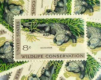 Affrancatura d'epoca // 5x Alligator - Wildlife Conservation 8c (1971) // Affrancatura per matrimonio USPS inutilizzata