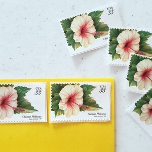 May include: A collection of six vintage US postage stamps featuring a pink and white Chinese hibiscus flower with green leaves. The stamps are all 33 cents and have the text "USA 33" and "Chinese Hibiscus" printed on them.