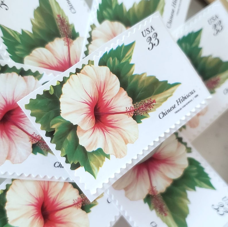 May include: A sheet of 33 pence USA postage stamps featuring a close-up of a pink and white Chinese Hibiscus flower with green leaves. The text "Chinese Hibiscus" and "USA 33" are printed on the stamp.