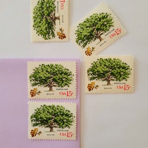 Pu&ograve; includere: Una collezione di francobolli vintage con un'illustrazione dettagliata di una quercia bianca con fogliame verde. Ogni francobollo presenta la scritta "WHITE OAK USA 15&cent;" e il nome scientifico "Quercus alba". I francobolli sono disposti su una superficie bianca e viola.