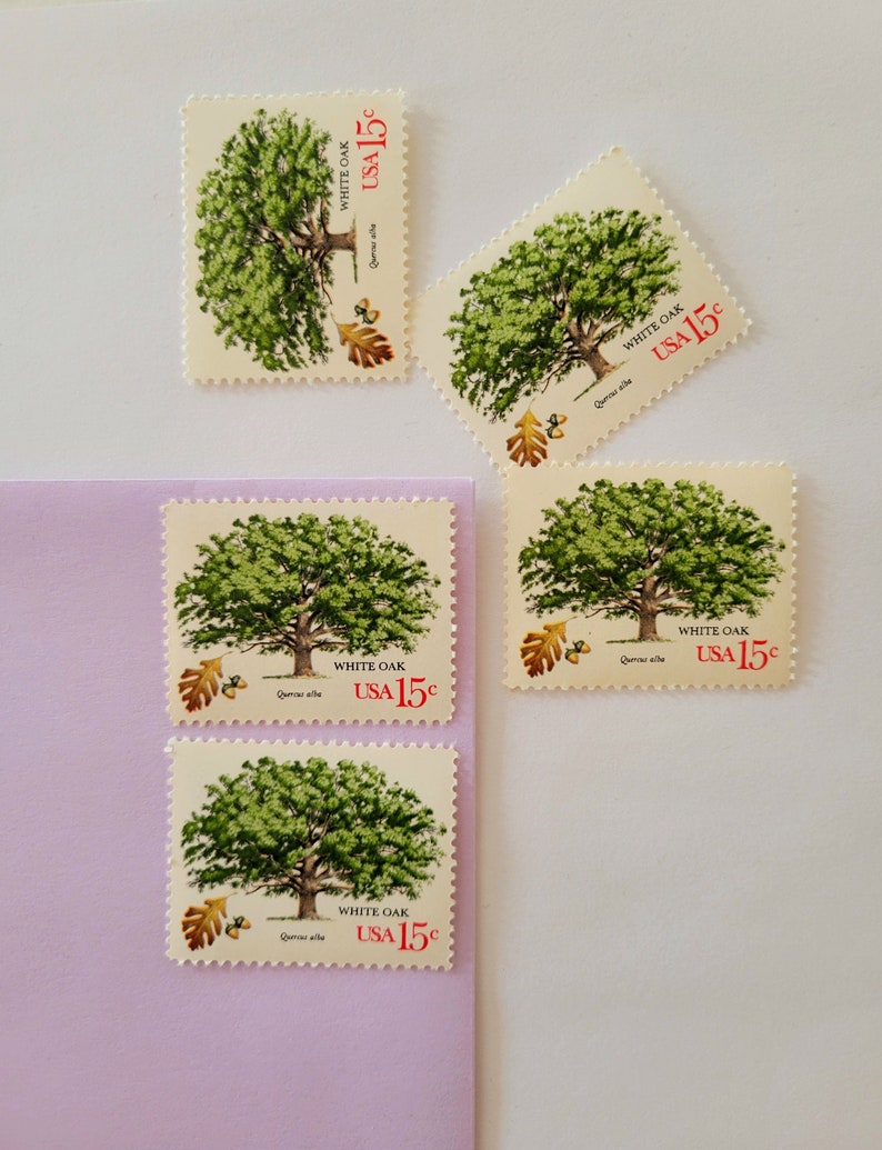 Pu&ograve; includere: Una collezione di francobolli vintage con un'illustrazione dettagliata di una quercia bianca con fogliame verde. Ogni francobollo presenta la scritta "WHITE OAK USA 15&cent;" e il nome scientifico "Quercus alba". I francobolli sono disposti su una superficie bianca e viola.