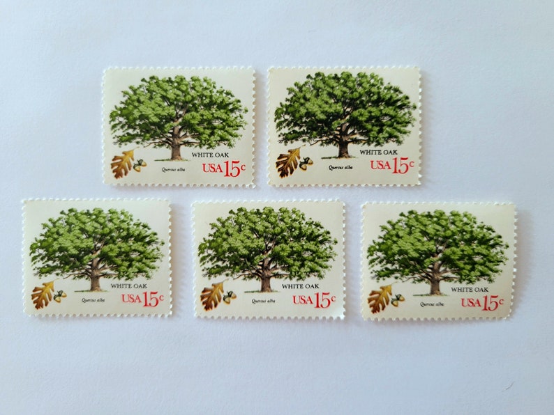 Pu&ograve; includere: Cinque francobolli vintage con un'illustrazione dettagliata di una quercia bianca con fogliame verde e un tronco marrone. Ogni francobollo include il testo "WHITE OAK", "USA 15&cent;", e il nome scientifico "Quercus alba".
