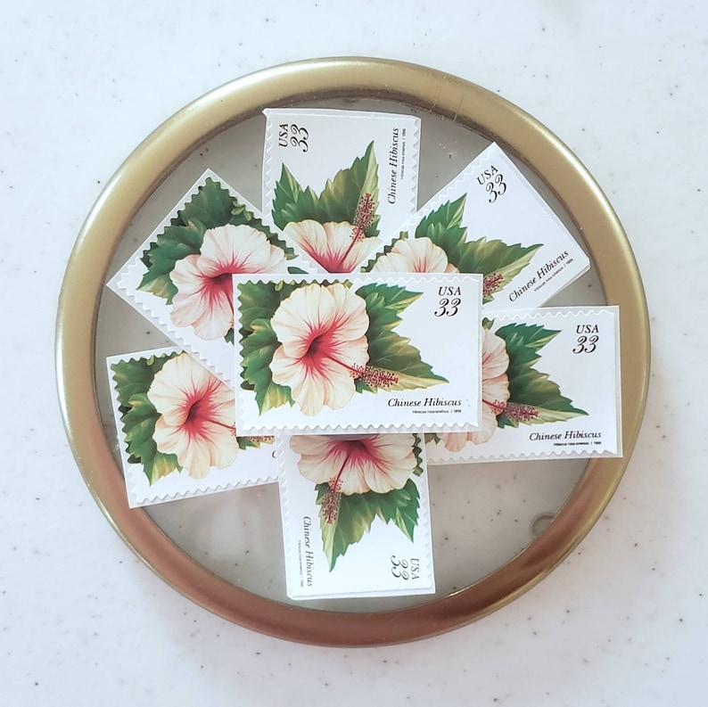 May include: A collection of six Chinese Hibiscus stamps, each featuring a white hibiscus flower with a pink centre, green leaves, and the text "USA 33" and "Chinese Hibiscus".