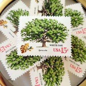 Francobolli d'epoca // 5x Quercia Bianca 15c (1978) // Francobolli da matrimonio da 1 oz non usati immagine 3