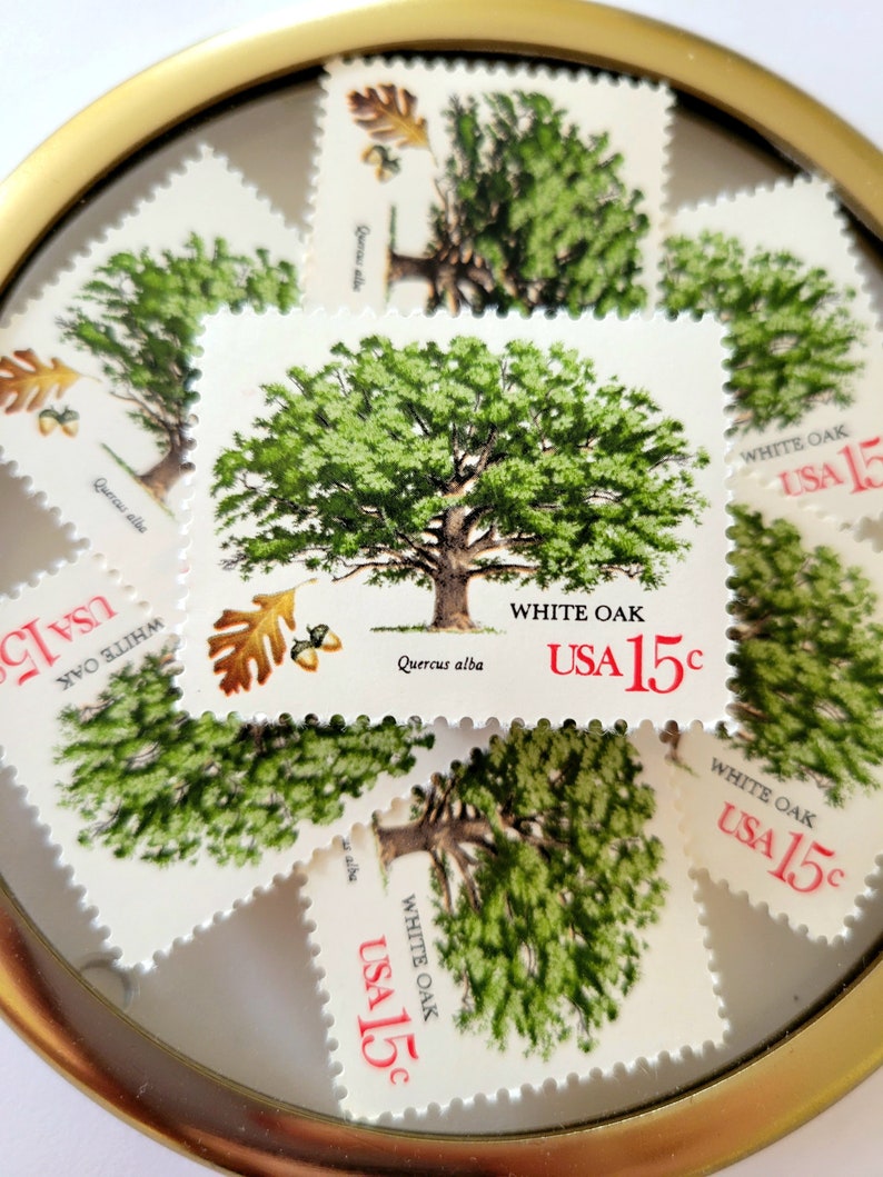 Francobolli d'epoca // 5x Quercia Bianca 15c (1978) // Francobolli da matrimonio da 1 oz non usati immagine 3