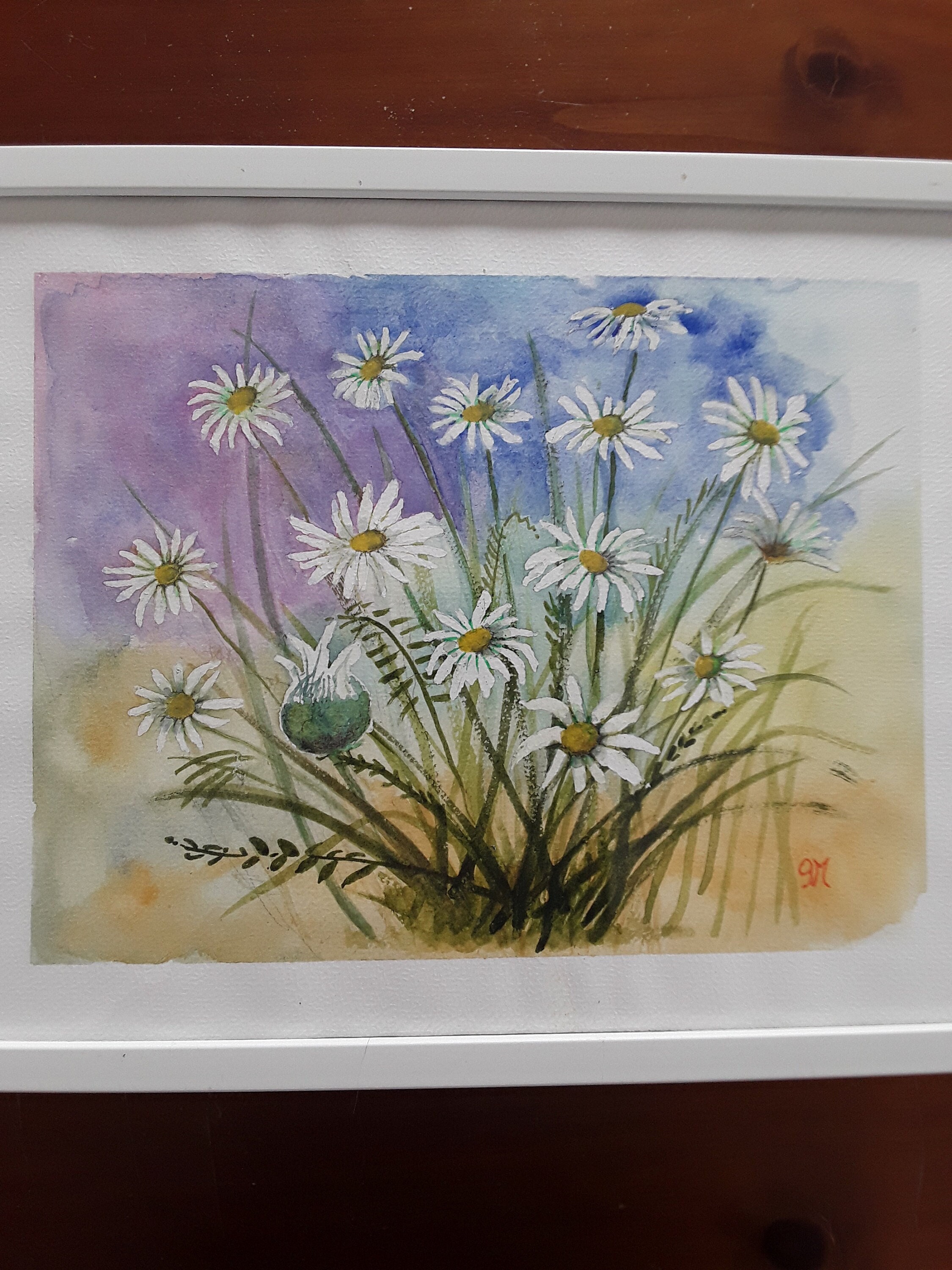 Aquarelle Originale Marguerites 1