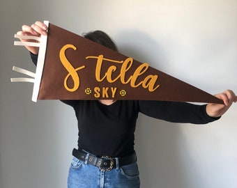 Custom name banner, personalized name, birthday banner, Vintage Pennants, Custom Pennant Flag, girl gift, Name Sign