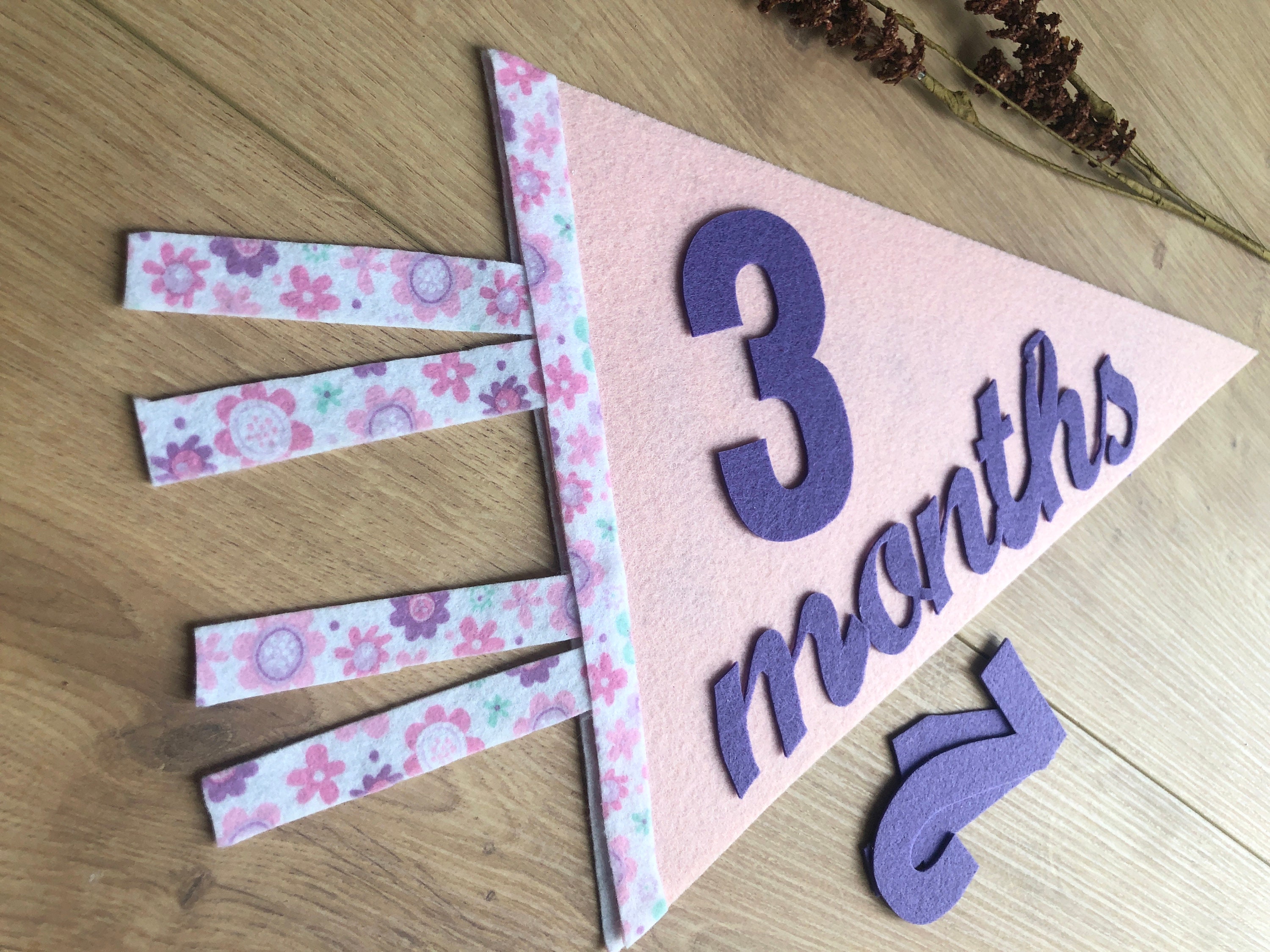 14PCS Felt Baby Monthly Milestone Banners Milestone Signs Pennant Flags Triangle Banner Age Flag Signs Newborn Photos Prop Supplies For Boy Girl First Year Birthday Baby Shower Decor Assorted Color
