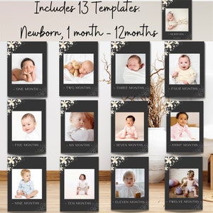 Cartes photos MODIFIABLES d'étape mensuelle, bannière d'anniversaire moderne décoration d'anniversaire bannière de chaise haute imprimable Corjl, bannière photo marguerite