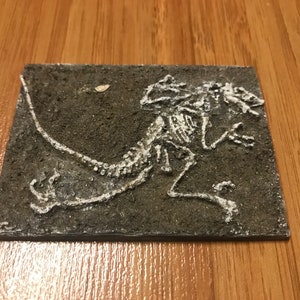 Velociraptor Dinosaur 3D Fossil Model, Skeleton Scalpture