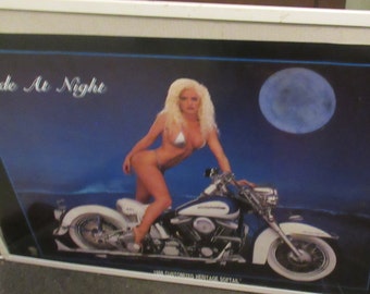 SEASIDE At NIGHT POSTER Harley Davidson Hot sexy Model Ridin It no frame sealed new rolled labeled 1988 out of print rare Collectible