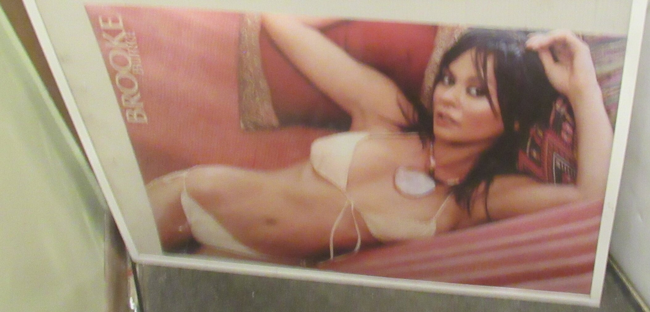 BROOKE BURKE Poster New Sealed No Frame 1986 Original Rare Collectiblehot  Sexy Mtv Model - Etsy
