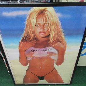 GOT SEX POSTER 1990s New Sealed No Frame Hot Sexy Playboy Model Collectible Rare