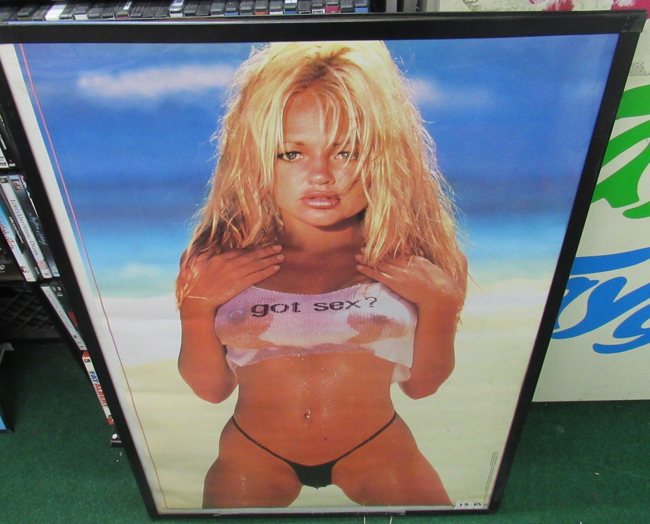 GOT SEX POSTER 1990s New Sealed No Frame Hot Sexy Playboy Model Collectible Rare