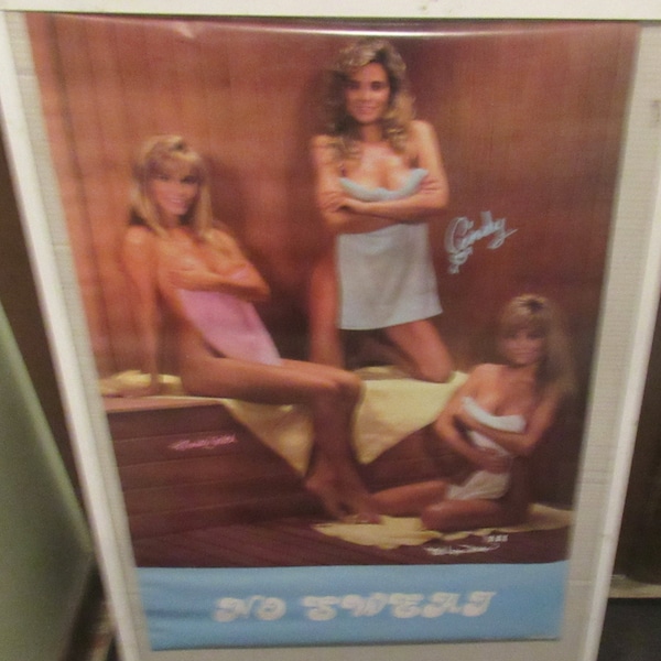 NO SWEAT POSTER 1989  Playboy Hot Super Model New Sealed No Frame Collectible Rare