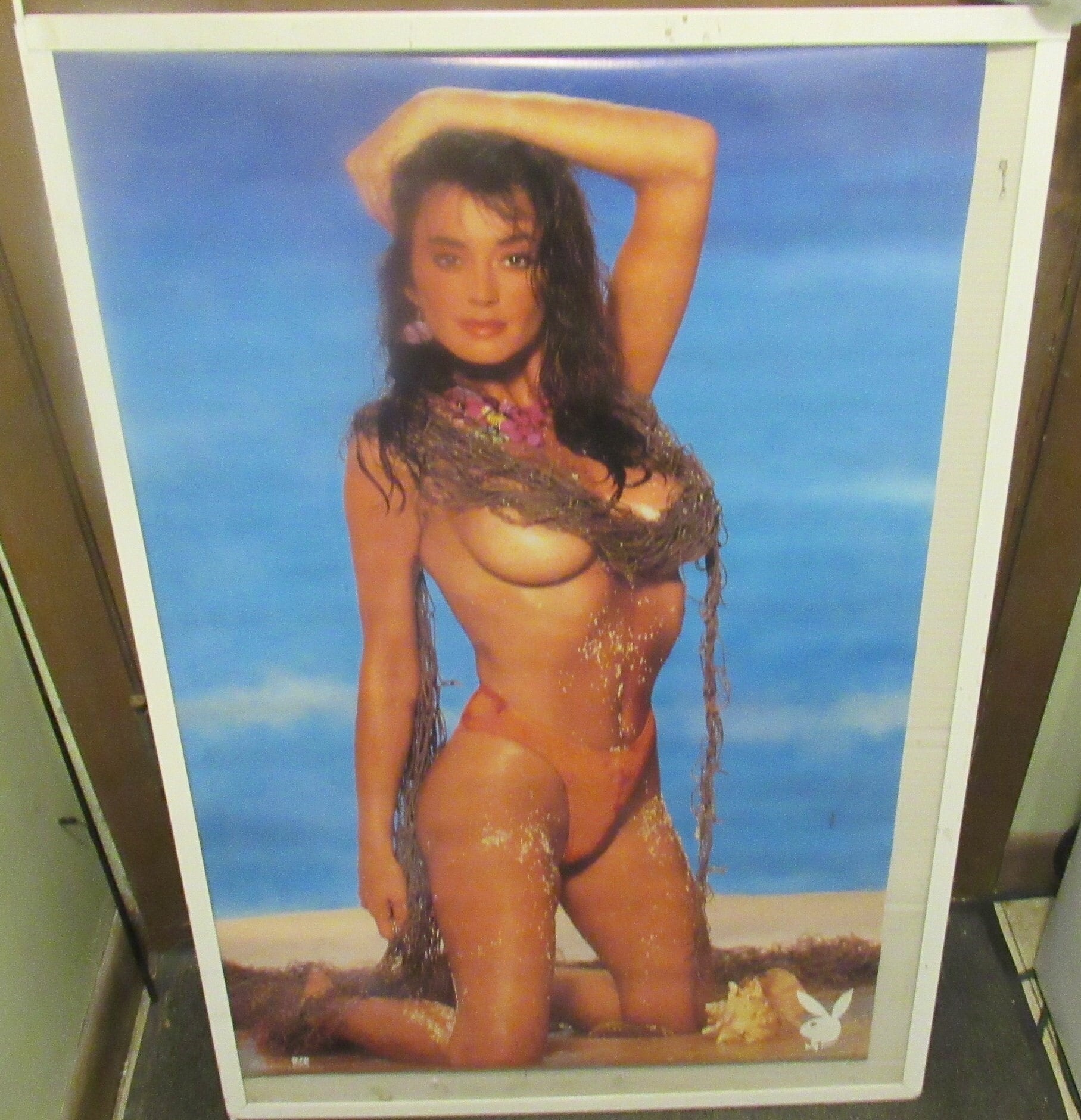 PLAYBOY CENTERFOLD POSTER 1991 Hot Sexy Playboy Model Rare