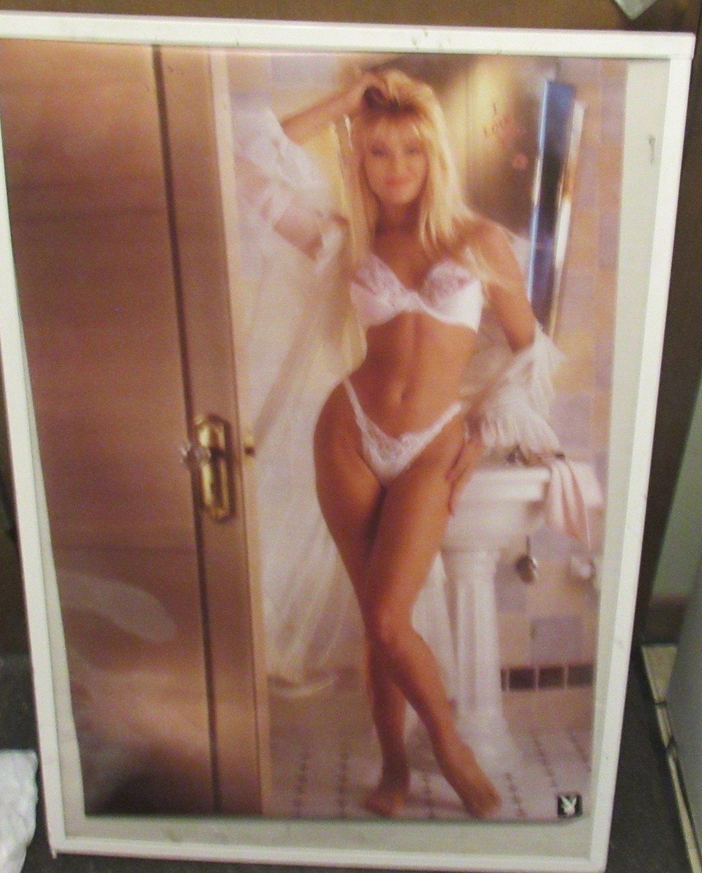 Playmate Poster 1991 Sexy Hot Playboy Model Oop Rare Collectable No