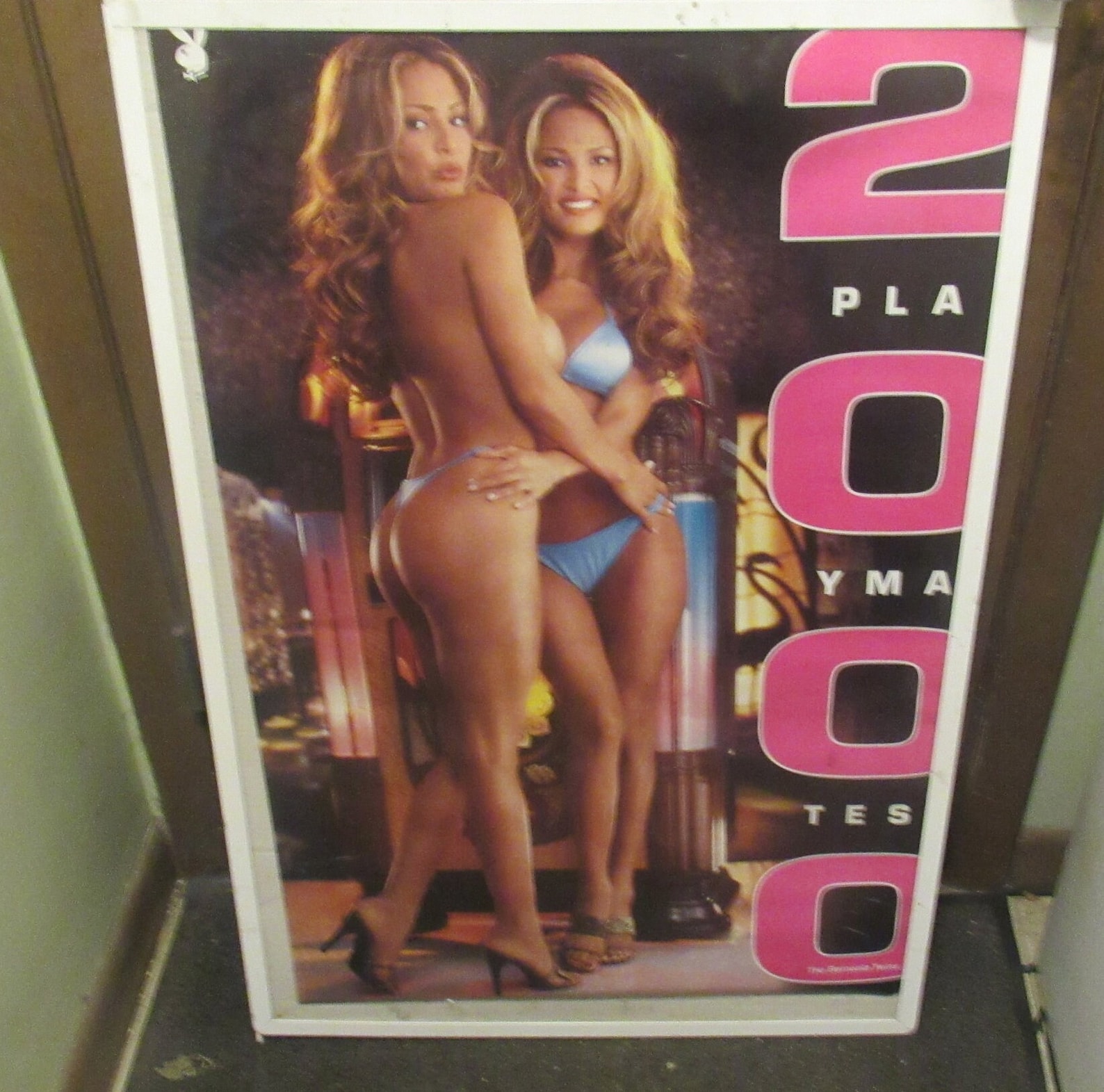 Bernaola Twins Poster 2000 Playboy Playmates Rare Vintage Hot Sexy No