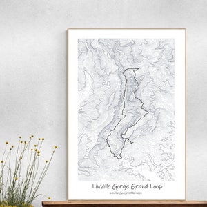 Linville Gorge topografische kaartposter, wandelkunst North Carolina
